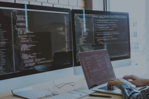 custom wordpress development