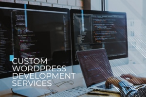 custom wordpress development services