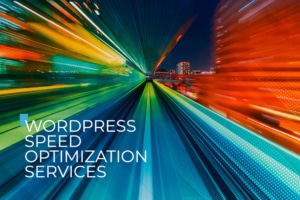 wordpress speed optimization services